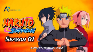 Naruto Shippuden Season 01 official Hindi Dubbed [Multi Audio] Download Free – Animedubhindi.com