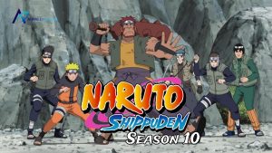 Naruto Shippuden Season 10 official Hindi | Tamil | Malayalam | Eng | jap (Multi Audio) Episodes Download For Free From Animedubhindi.com